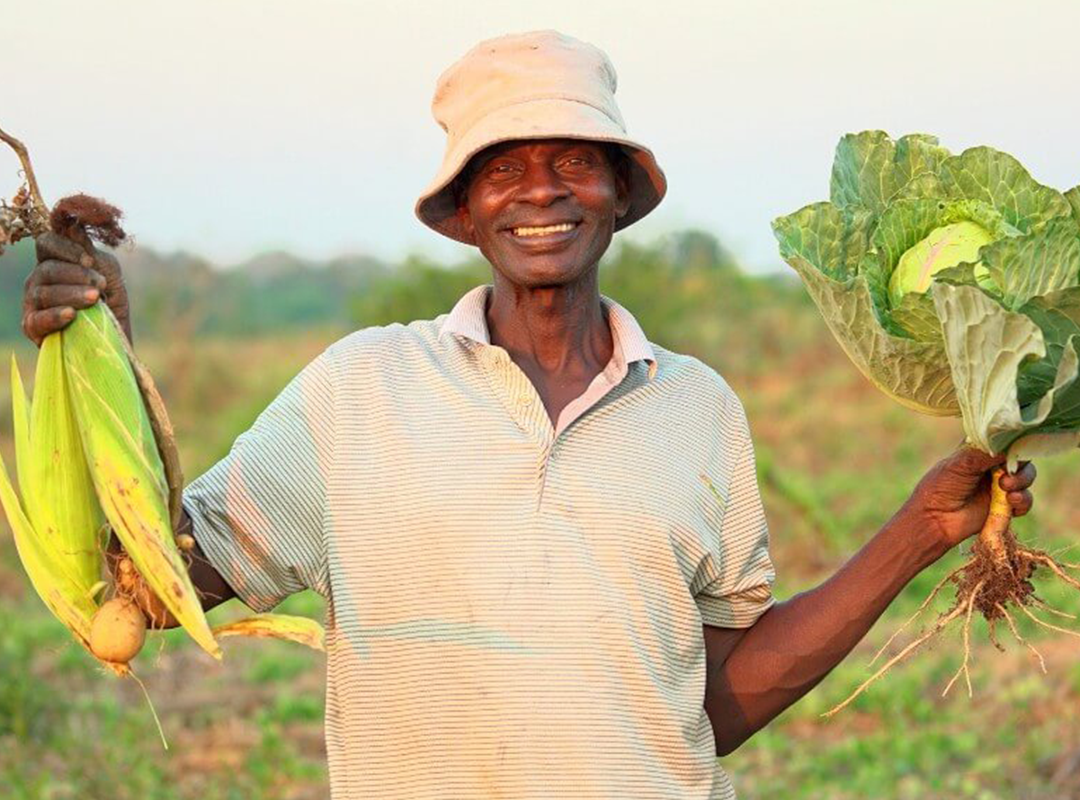 Sustainable Agriculture & Food Security