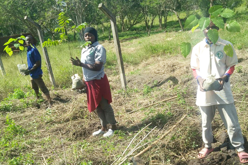 Tree Planting for Ecosystem Restoration in Pwani Region