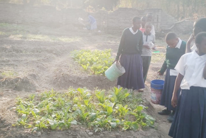 School Gardening Project